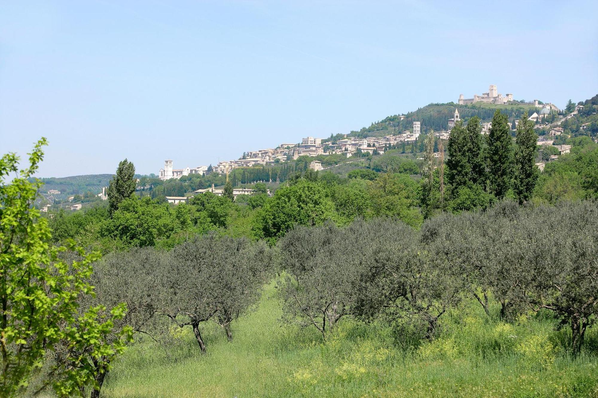 Country House Poggio Fiorito Assisi Bagian luar foto